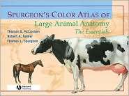 Spurgeons Color Atlas of Large Animal Anatomy The Essentials 