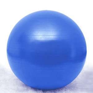 GOGO 55cm Yoga Balance Ball / Fitness Stability Ball, Blue:  