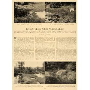   McHenry Henry Troth Garden   Original Print Article