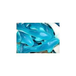 Giant Gummy Blue Shark 5 lbs  Grocery & Gourmet Food