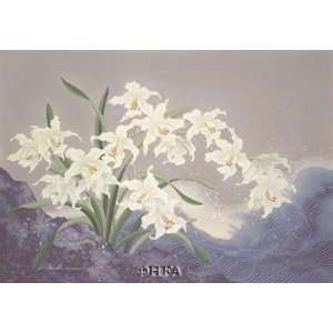 White Orchids by Keiichi Nishimura 33x24 