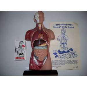 Fascinating Facts Human Body Game Toys & Games
