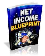 Net Income Blueprint PDF Ebook On CD  