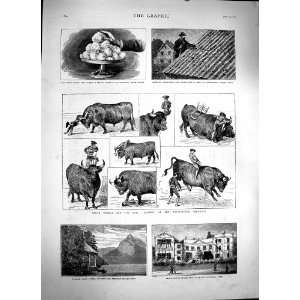  1879 William Tell Chapel Switzerland Paris Bull Ligero 