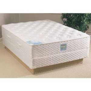  Bassett DreamMaker Clearwing Cushion Firm PillowTop Mattress 