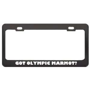  Got Olympic Marmot? Animals Pets Black Metal License Plate 