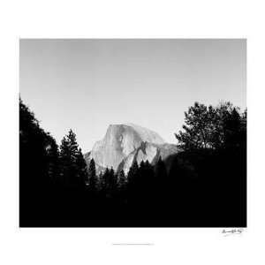  Tucker Smith   Half Dome In Trees Giclee: Home & Kitchen