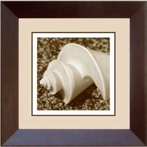  Phoenix Galleries HP264D Spiral Shell Single Framed 