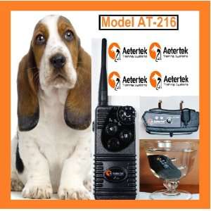   BEEP SOUND, 7 LEVELS OF VIBRATION AND SHOCK FOR 1 DOG: Pet Supplies