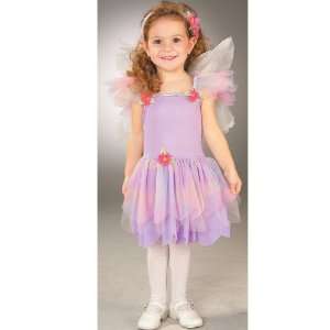   Fairy Toddler Costume / Purple   Size Toddler 2 4: Everything Else