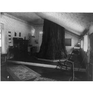  Big tree room,Cedar Cottage,cabins,dwellings,interiors 
