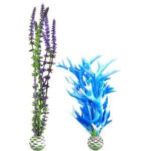  biOrb Plant Pack   Blue/Purple (Quantity of 3) Health 