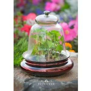  Glass Cloche Decorative Box Patio, Lawn & Garden