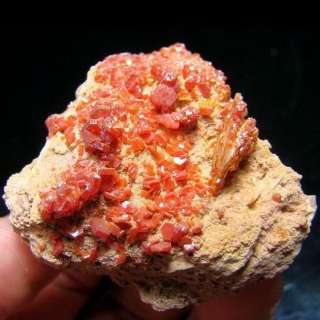 Red Vanadinite Crystal Cluster & Barite vamo9ixh091  