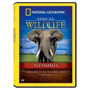   Geographic Africas Wildlife Collection Elephants: Video Games