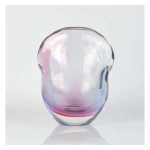  X1094 Multi Color Hand Blown Art Glass Vase: Home 