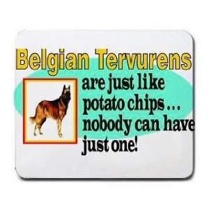  Belgian Tervurens are Just Like potato Chips Nobody can 