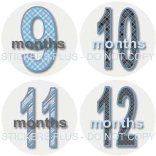   big blue and gray plaid numbers includes numbers 1 through 12 months