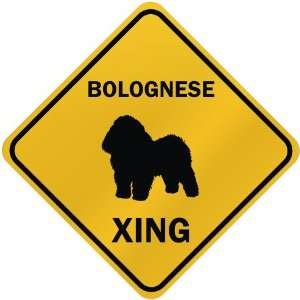  ONLY  BOLOGNESE XING  CROSSING SIGN DOG: Home 