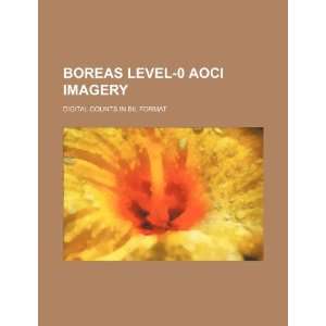  BOREAS level 0 AOCI imagery digital counts in BIL format 