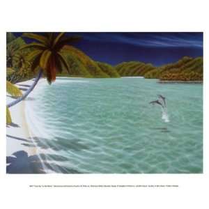    Trunk Bay Finest LAMINATED Print Dan Mackin 12x10: Home & Kitchen