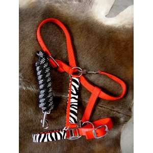 HALTER BRONC ORANGE NYLON NOSE BAND ZEBRA