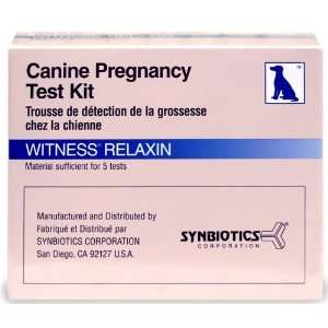  Witness Relaxin Pregnancy Test Kit 5ct