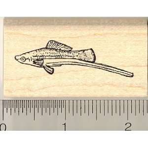  Swordtail Fish Rubber Stamp: Arts, Crafts & Sewing