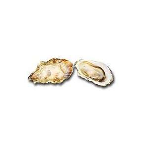 Fresh Snow Creek Oysters, (5 Dozen) Grocery & Gourmet Food