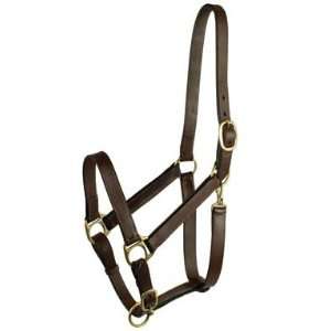   Choice Brands Stable Halter With Snap Suckling   203S/1: Pet Supplies