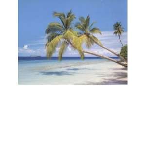   Washington Wallcovering Destinations Murals tropical Maldives DS8049