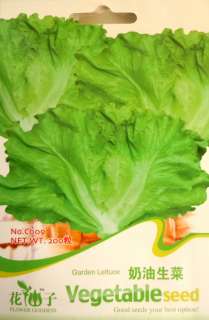 C009 Green Lettuce Lactuca sativa Vegetable Seed Pack  