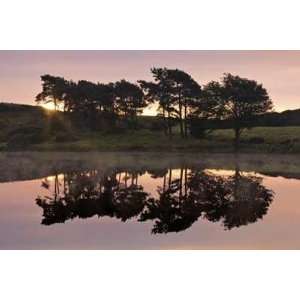  Robert Strachan   Trees In Reflection I