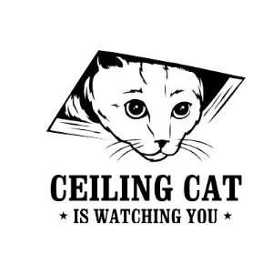  Ceiling Cat is Watching You Coffee Mugs: Home & Kitchen