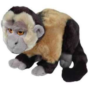  Plush Capuchin Monkey: Pet Supplies