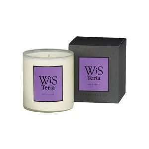   Botanicals Wisteria Home Candle 14 oz candle: Health & Personal Care