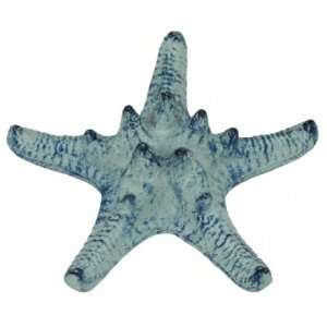   Armour Starfish Antiqued Blue Cast Iron Table Decor: Home & Kitchen
