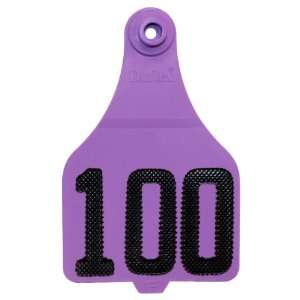   Ear Tags   Large Extended Panel Numbered Cattle ID Tags   51 75 Purple
