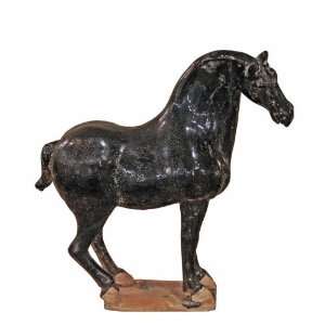  Medium Terra Cotta Black Stallion