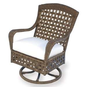   : Haven Swivel Dining Chair Fabric: Canvas Turf: Patio, Lawn & Garden