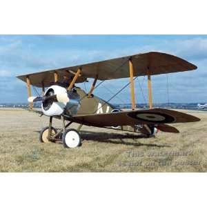  Sopwith Camel   24x36 Poster 