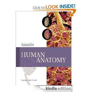 Human Anatomy Kenneth S. Saladin  Kindle Store