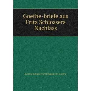  Schlossers Nachlass Goethe Julius Fres Wolfgang von Goethe Books