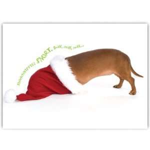  Sniffing Dachshund Dog in Santa Hat Christmas Holiday 