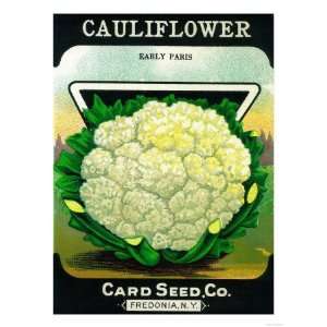  Cauliflower Seed Packet Premium Poster Print, 18x24