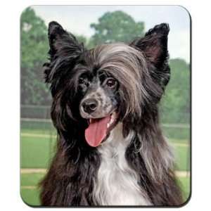  Chinese Crested Mousepad