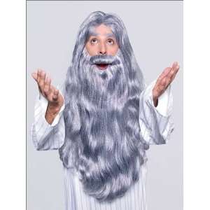   Wizard Wig & Beard Costume Wig by Characters Line Wigs Toys & Games