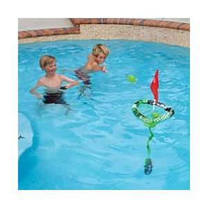   Skip N Sink Disk Toss Swimming Pool Game   Improvements: Toys & Games
