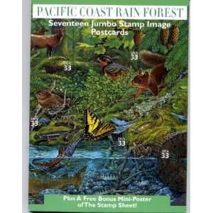  Pacific Coast Rain Forest 17 Jumbo Stamp Image Postcards 