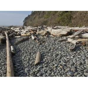  Rounded Beach Cobbles and Driftwood, Olympic Coast 